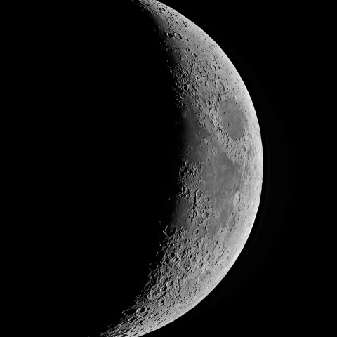 夕月 2022年4月6日