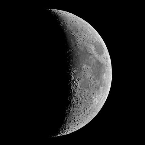 夕月 2022年4月7日