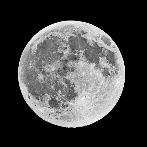 十六夜 2022年4月16日