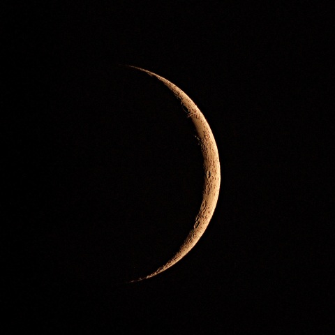 夕月 2022年6月2日