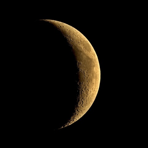 夕月 2022年6月4日