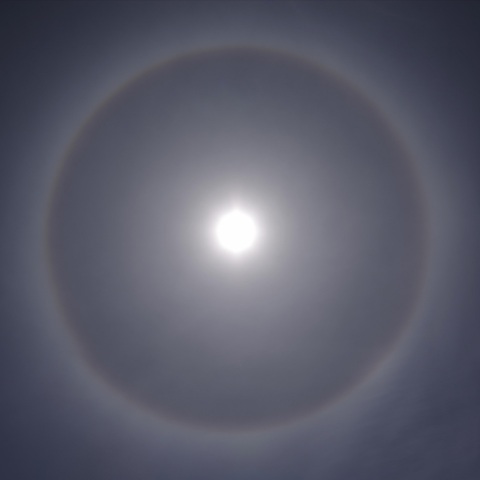 日暈（ひがさ） 2022年6月1日