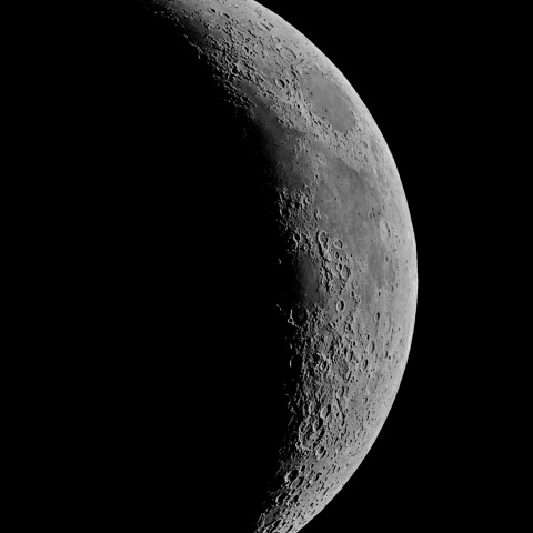 夕月 2022年6月4日