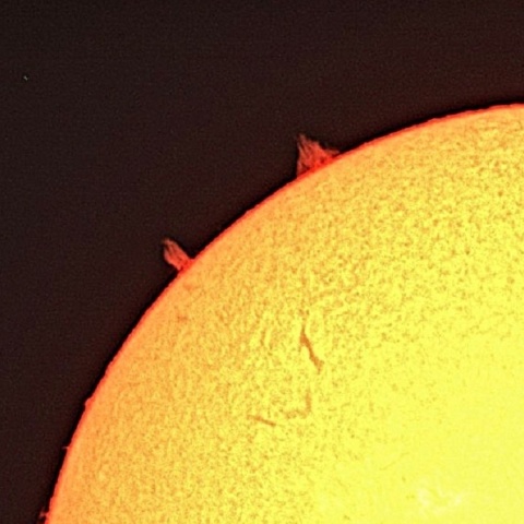 プロミネンス 2022年6月19日