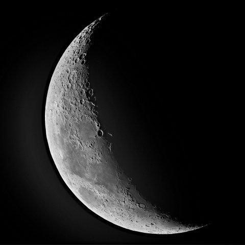 夕月 2022年7月4日