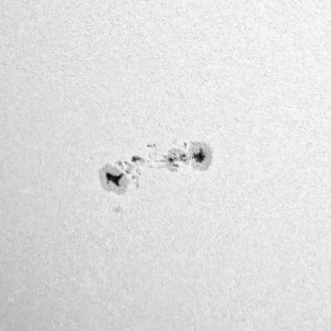 太陽黒点 2022年7月10日