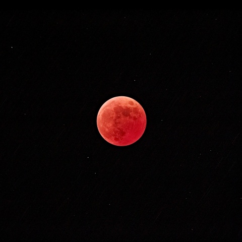 皆既月食（食の最大）2022年11月8日19時59分