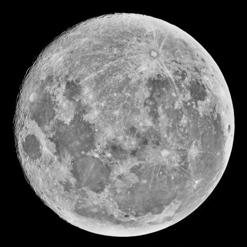 十六夜 2022年11月9日