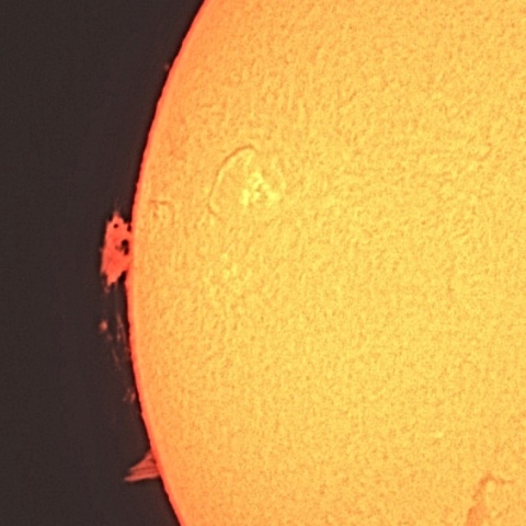 太陽プロミネンス 2022年11月25日