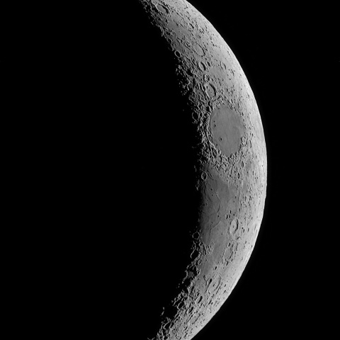 夕月 2022年11月27日