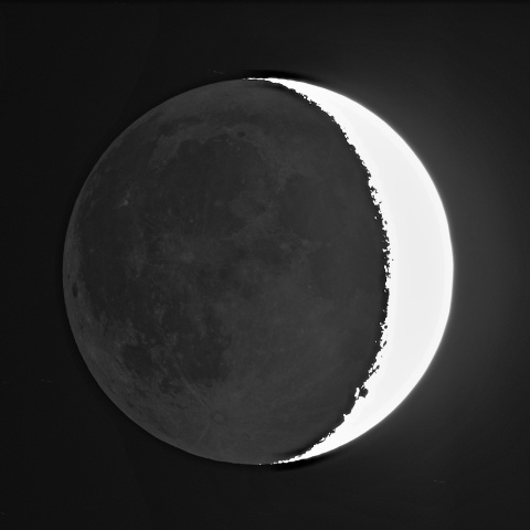 夕月 2022年11月27日