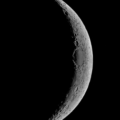 夕月 2022年12月26日