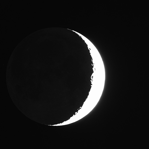 夕月 2022年12月26日