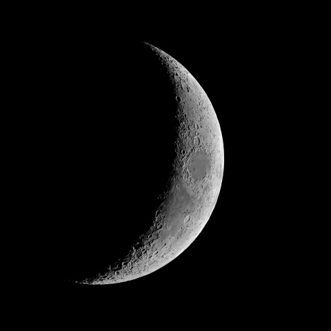 夕月 2022年12月27日