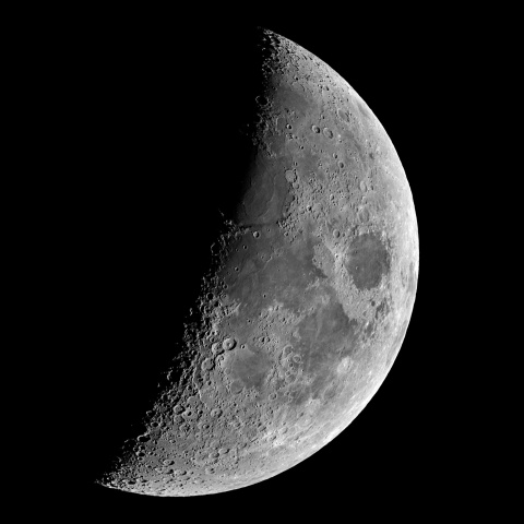 夕月 2022年12月29日