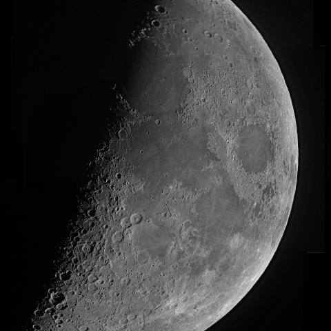 夕月 2023年1月28日