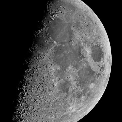 弓張月（上弦） 2023年1月29日