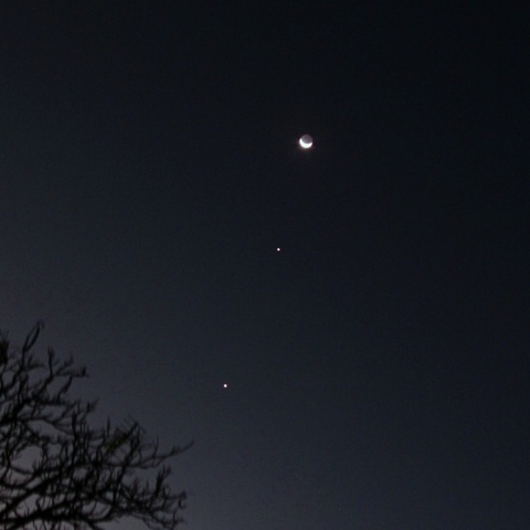 月と木星と金星 2023年2月23日