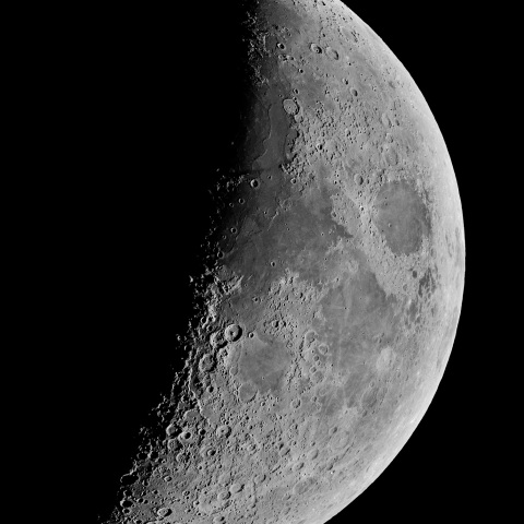 夕月 2023年2月26日