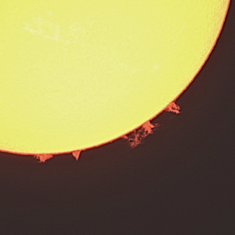 プロミネンス 2023年2月26日