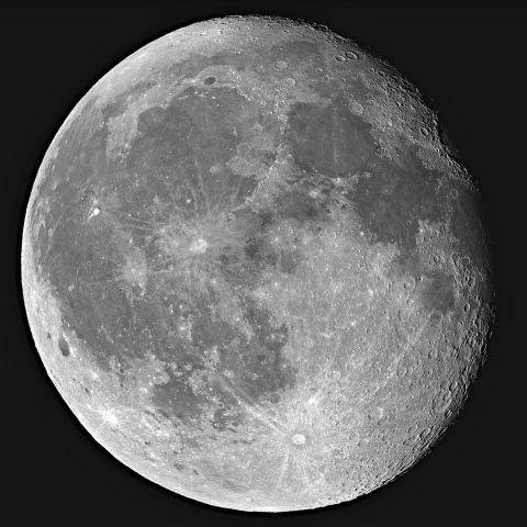 居待月 2023年4月8日