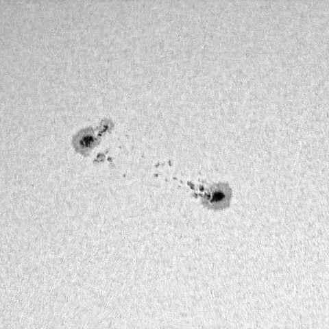 太陽黒点 2023年4月17日