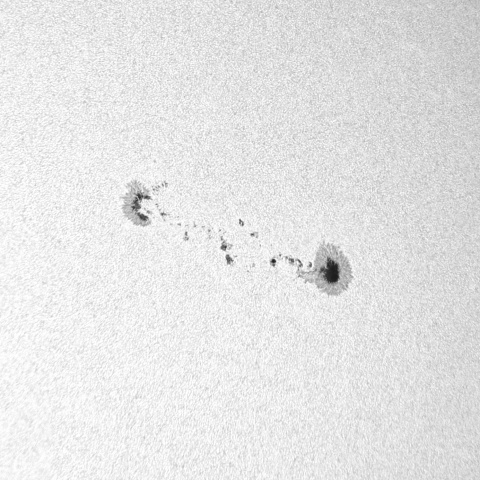 太陽黒点 2023年4月20日