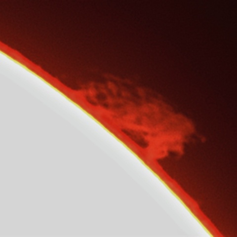 プロミネンス 2023年5月4日