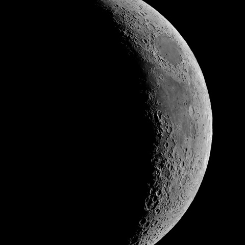 夕月 2023年5月24日