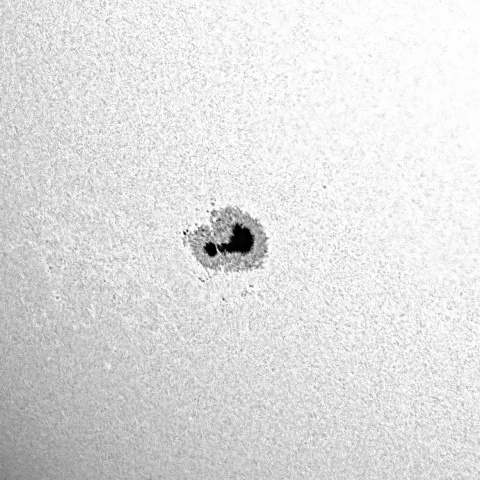 太陽黒点 2023年7月10日