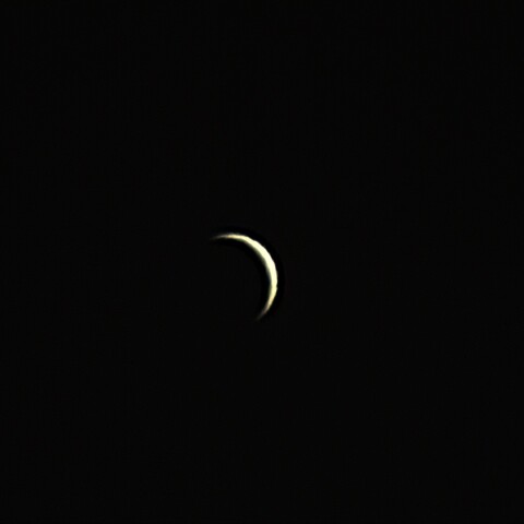 金星 2023年7月22日