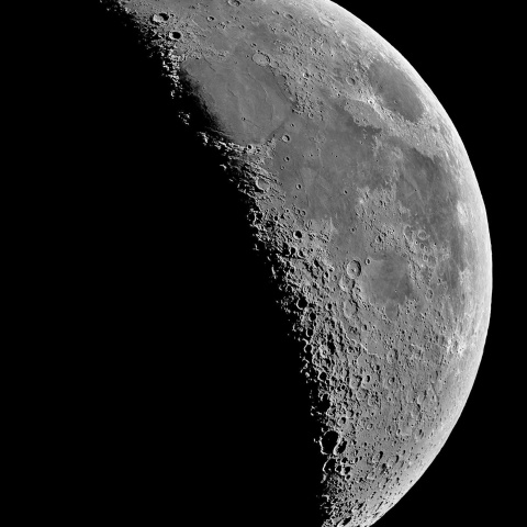 夕月 2023年7月24日