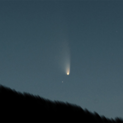 3/16のパンスターズ彗星