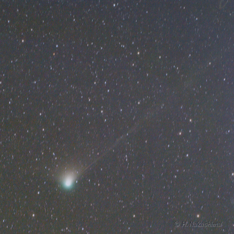 1月12日未明のZTF彗星(C/2022 E3)