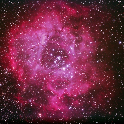 今年の初撮　ばら星雲