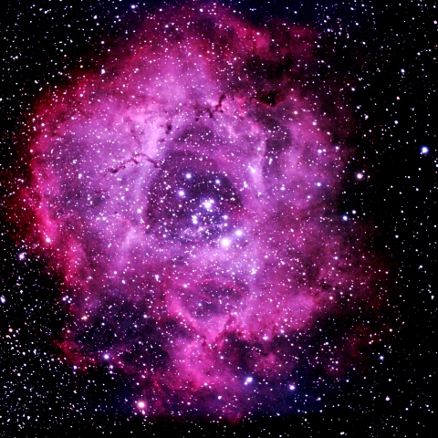 ばら星雲再投稿