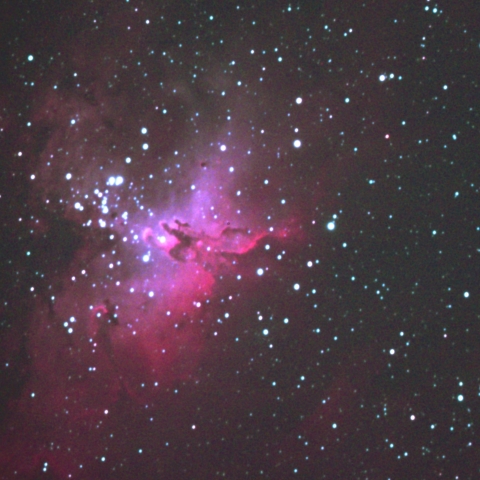 梅雨前に一撮り