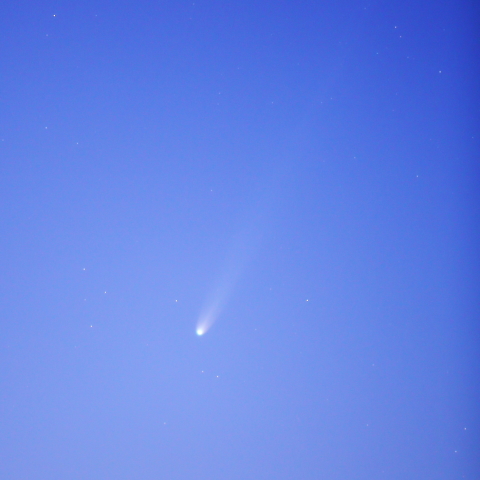 11/23 アイソン彗星