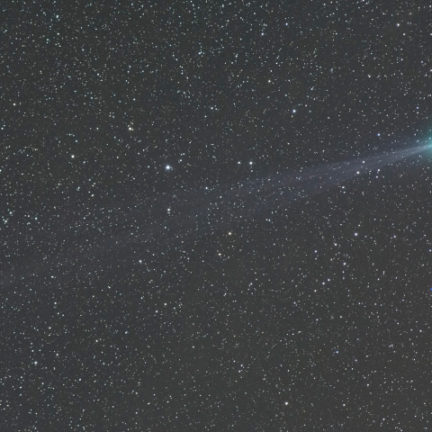 １月２４日のラブジョイ彗星（C/2014 Q2）