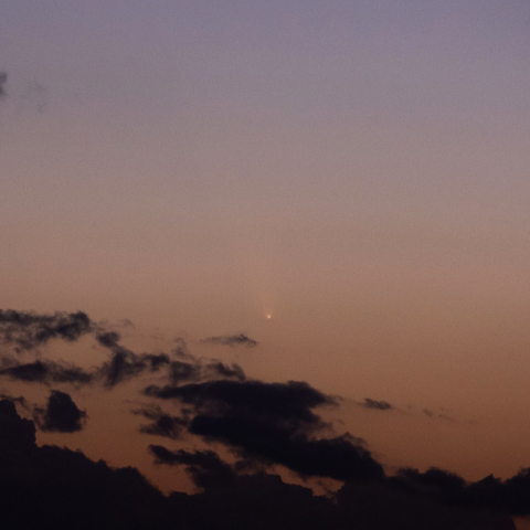 紫金山・アトラス彗星