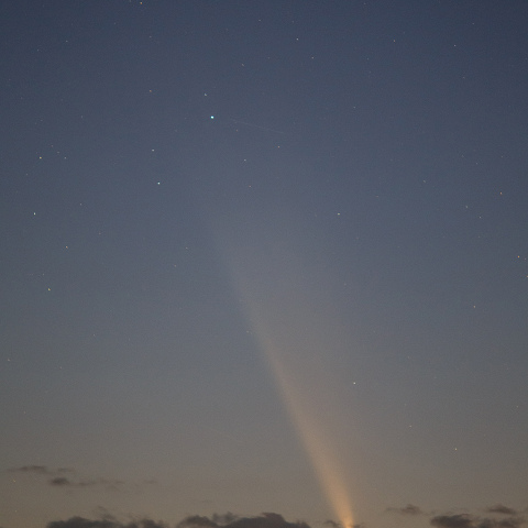 紫金山・アトラス彗星