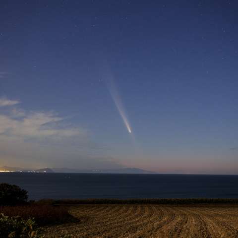紫金山・アトラス彗星