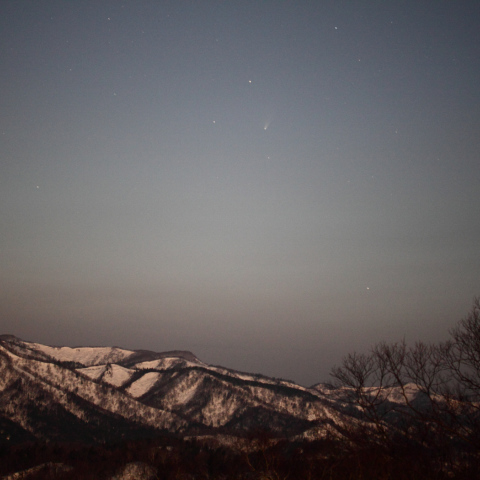 パンスターズ彗星