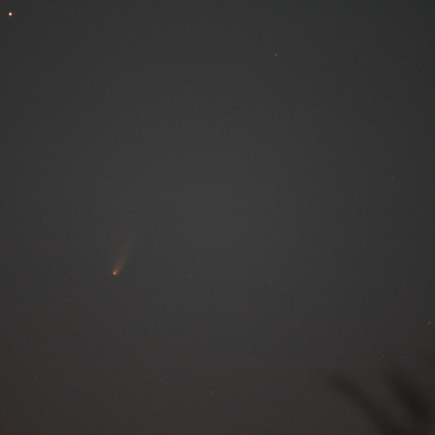 パンスターズ彗星