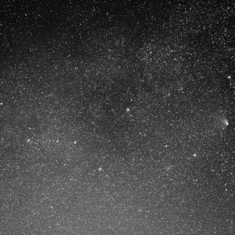 カシオペアの中のパンスターズ彗星（モノクロ）