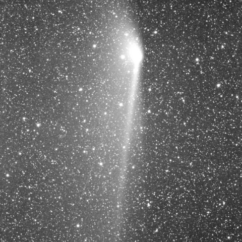 パンスターズ彗星 5月17日