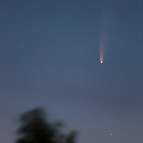 ネオワイズ彗星