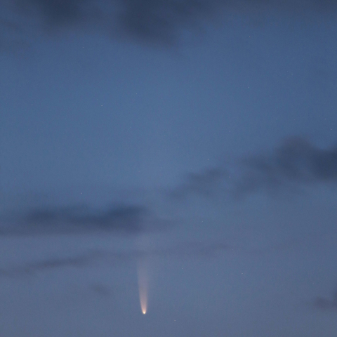 ネオワイズ彗星