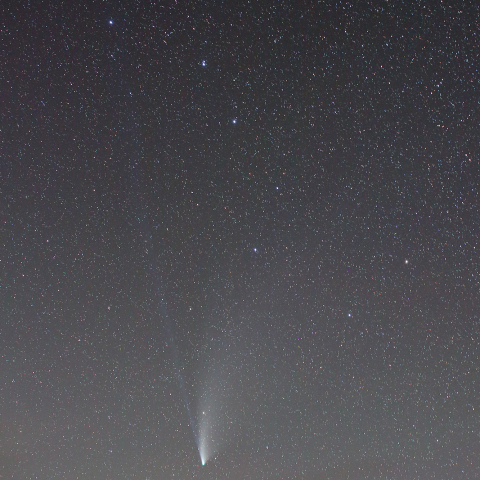 北斗七星を覆うNEOWISE彗星