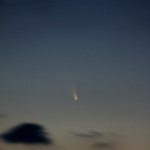 3/14のパンスターズ彗星